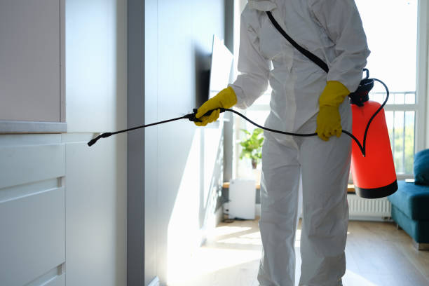 Best Professional Mold Removal  in Carroll, IA