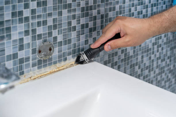 Best Office Mold Removal Services  in Carroll, IA